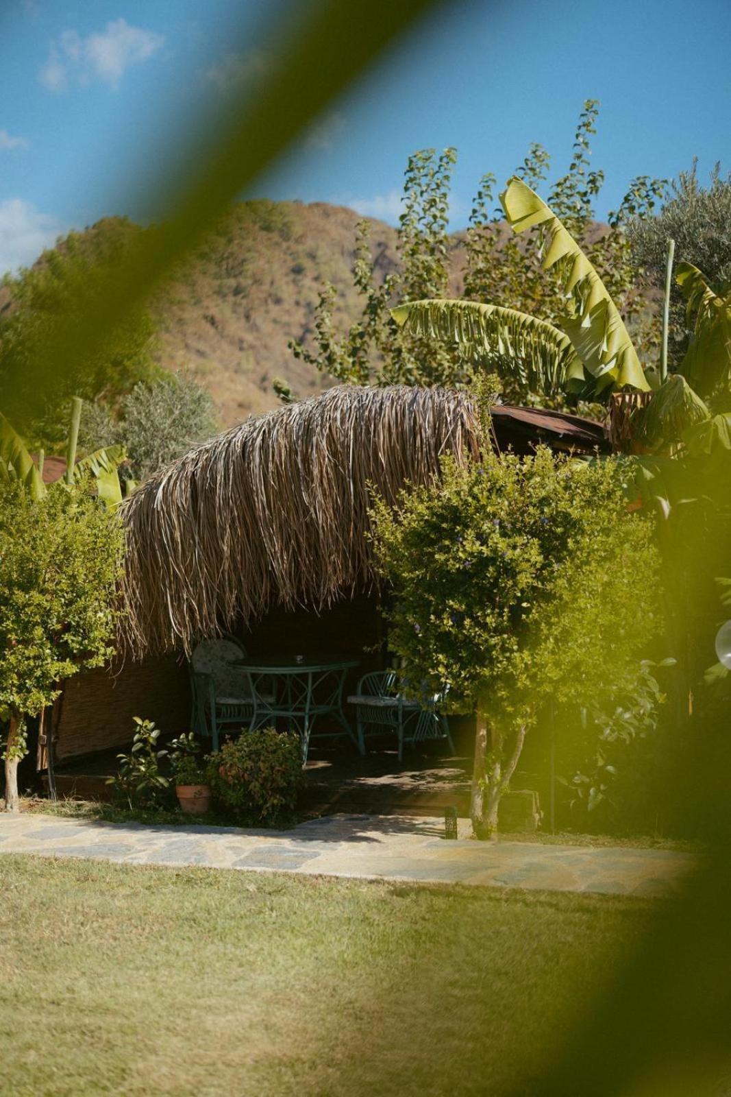 Turkuaz Bungalows Cirali Bagian luar foto